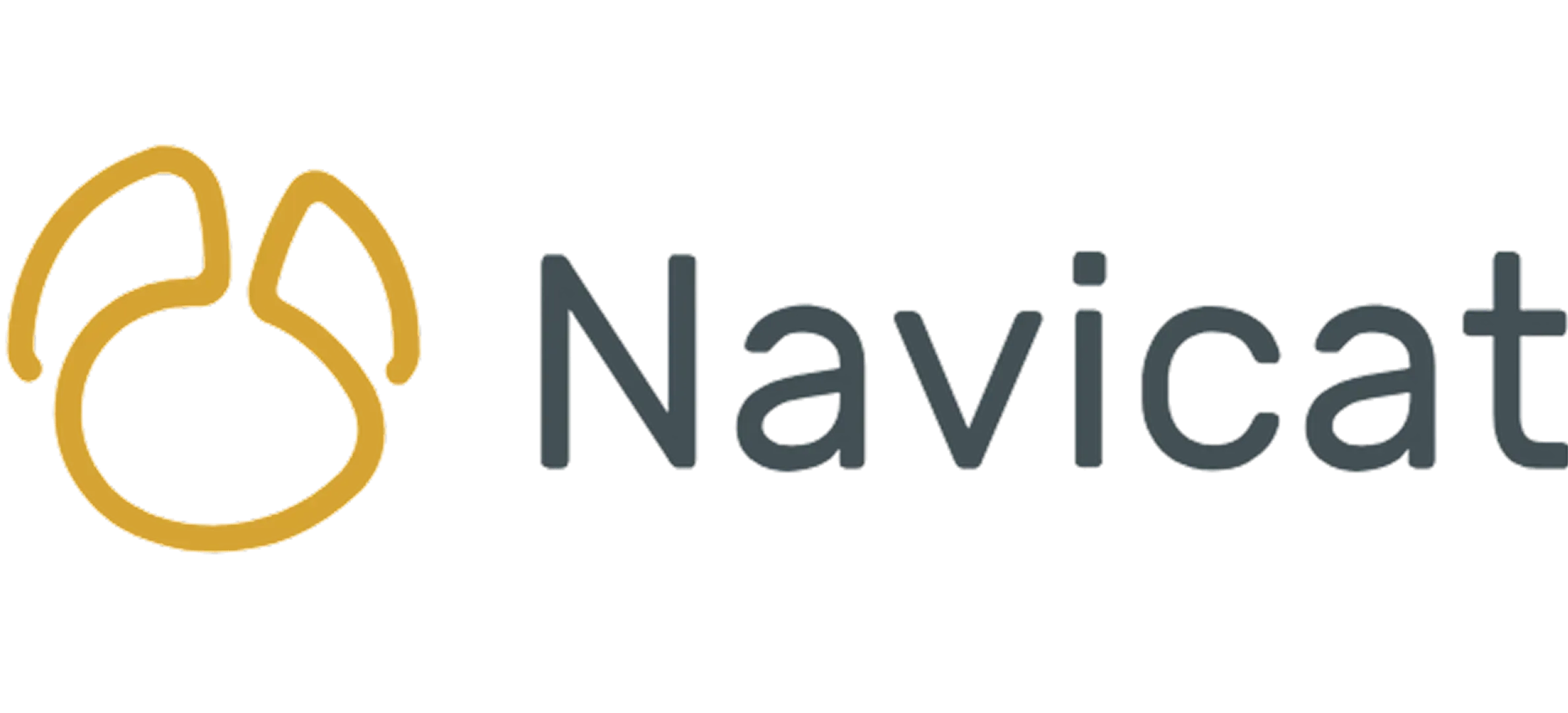 Navicat
